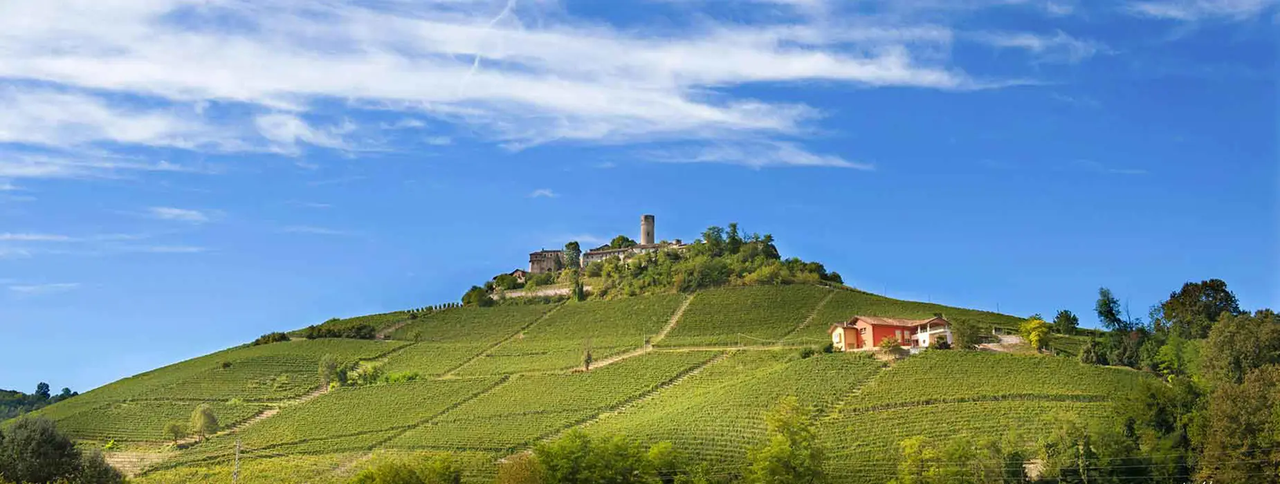 bava-vino-langhe-exclusive-brands-torino