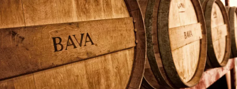 copertina-bava-exclusive-brands-torino