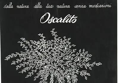 duechiacchieredieccellenza-oscalito-vogue