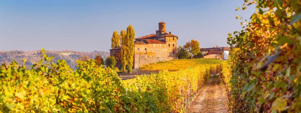 ottobre-nelle-langhe-cover