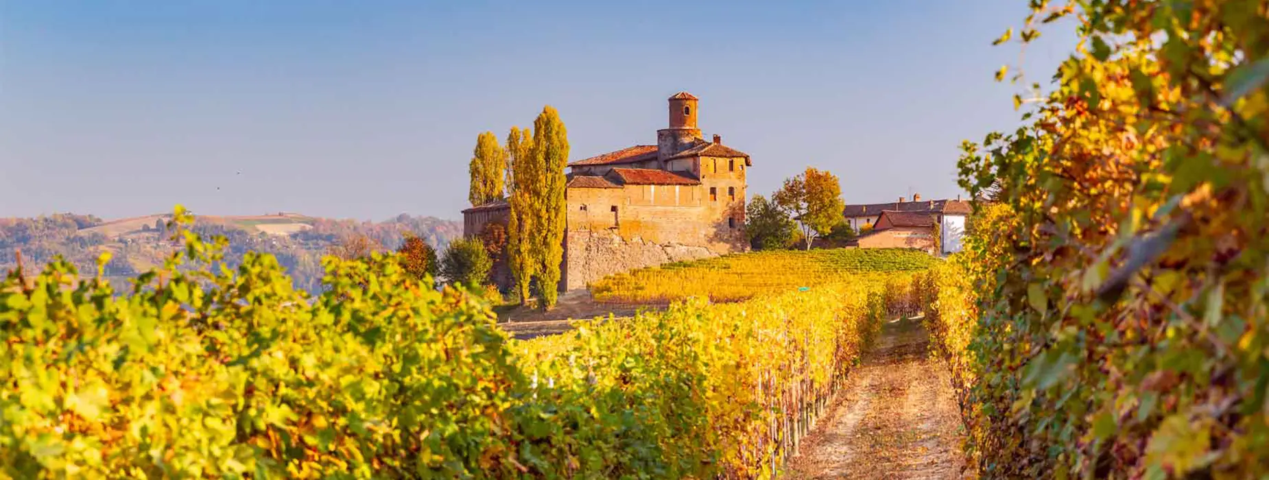 ottobre-nelle-langhe-cover