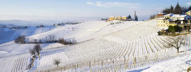 relax-in-piemonte-idee-per-vivere-le-vacanze-exclusive-brands-torino-cover-1